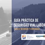 thumbnail of guia_seguridad_vial_laboral