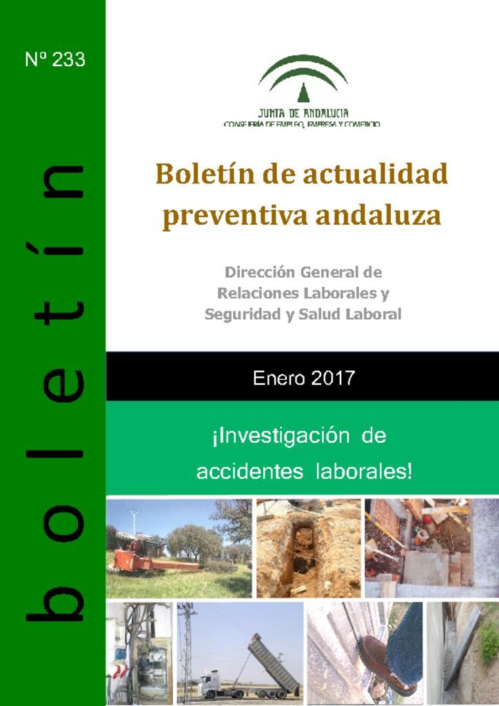 thumbnail of boletin 233 enero2017
