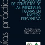 thumbnail of intereses-y-resolucic3b3n-conflictos-en-prl