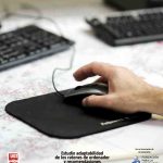 thumbnail of estudio-adaptabilidad-ratones-y-recomendaciones-para-su-elección-y-uso_PROVA