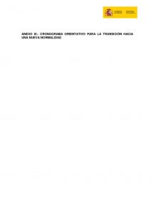 thumbnail of anexo-iii-cronograma_final