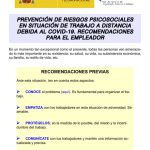 thumbnail of riesgos-psicosociales-y-trabajo-a-distancia-por-covid-19.-recomendaciones-para-el-empleador