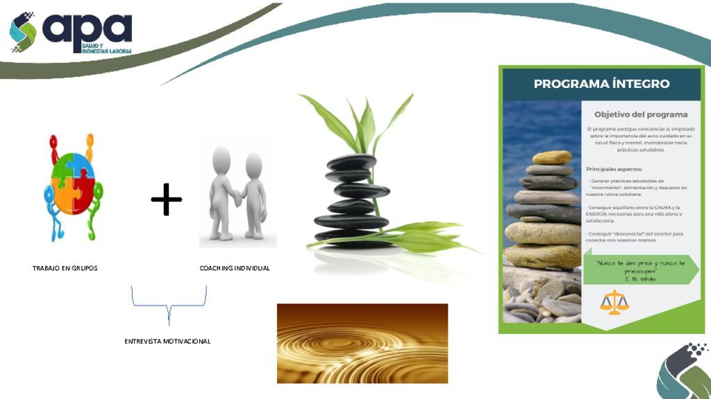 thumbnail of ficha-psbo