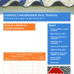 thumbnail of ficha-no8-amianto-ano-2022