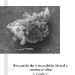 thumbnail of evaluacion-de-la-exposicion-laboral-a-nanomateriales-2-grafeno-2023