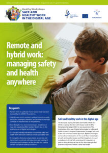 thumbnail of remote_hybrid_work-infosheet-en