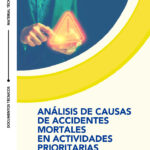 thumbnail of analisis-de-causas-de-accidentes-mortales-en-actividades-prioritarias-2024