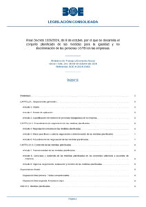 thumbnail of boe-a-2024-20402-consolidado