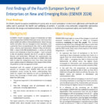 thumbnail of esener-first-findings-2024_en