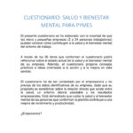 thumbnail of salud-y-bienestar-mental-para-pymes