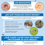 thumbnail of cartel-2-enfermedades-transmitidas-por-vectores-en-actividades-laborales-2024