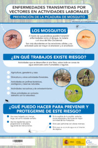 thumbnail of cartel-2-enfermedades-transmitidas-por-vectores-en-actividades-laborales-2024